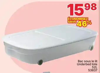 Rossy Underbed tote offer