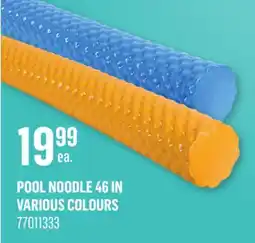 Canac POOL NOODLE 46 IN VARIOUS COLOURS offer