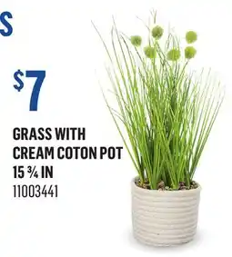 Canac GRASS WITH CREAM COTON POT 15 3⁄4 IN offer