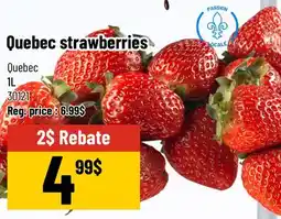Mayrand Quebec Strawberries offer