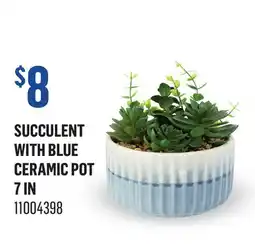 Canac SUCCULENT WITH BLUE CERAMIC POT 7 IN offer