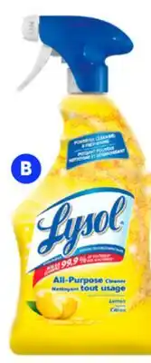 RONA 650-ml LYSOL cleaners offer