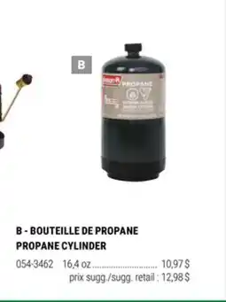 BMR BOUTEILLE DE PROPANE offer