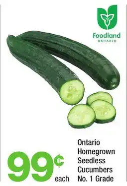 Highland Farms Ontario Homgrown Seedless Cucumbers offer