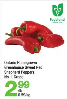 Highland Farms Ontario Homegrown Greenhouse Sweet Red Shepherd Peppers offer
