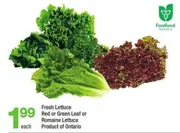 Highland Farms Fresh Lettuce Red or Green Leaf or Romaine Lettuce offer