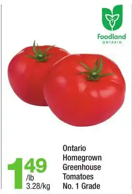 Highland Farms Ontario Homegrown Greenhouse Tomatoes offer