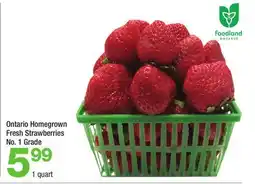 Highland Farms Ontario Homegrown Fresh Strawberries offer