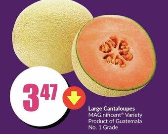 FreshCo Large Cantaloupes offer