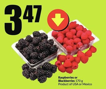 FreshCo Raspberries or Blackberries offer