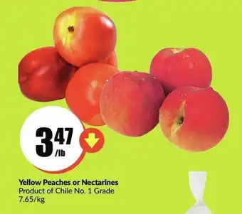 FreshCo Yellow Peaches or Nectarines offer