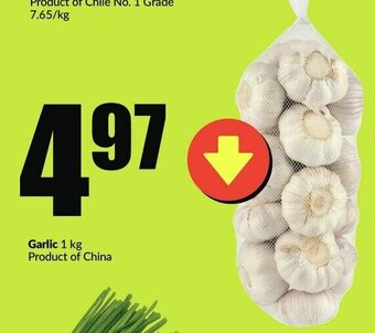 FreshCo Garlic offer