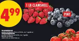 No Frills BLUEBERRIES, PINT OR STRAWBERRIES, 1 LB CLAMSHELL offer