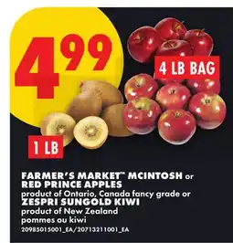 No Frills FARMER'S MARKET MCINTOSH OR RED PRINCE APPLES, 4 LB BAG OR ZESPRI SUNGOLD KIWI, 1 LB offer