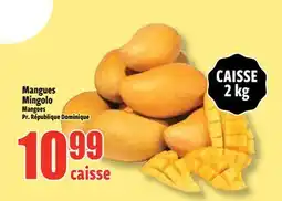 Bonanza Mangues Mingolo offer