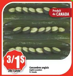 Bonanza Concombres anglais offer