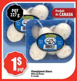Bonanza Champignons blancs offer