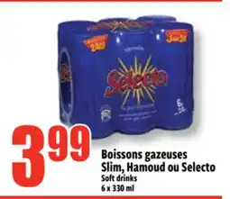 Bonanza Boissons gazeuses Slim, Hamoud ou Selecto offer