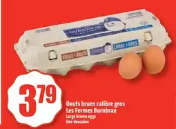 Bonanza Large brown eggs offer