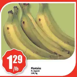 Bonanza Plantains offer