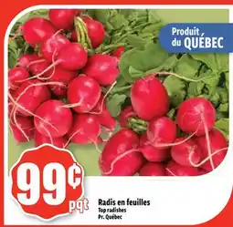 Bonanza Radis en feuilles offer