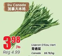Btrust Supermarket Liseron D'Eau Vert offer