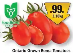 Starsky Ontario Grown Roma Tomatoes offer