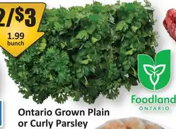 Starsky Ontario Grown Plain or Curly Parsley offer