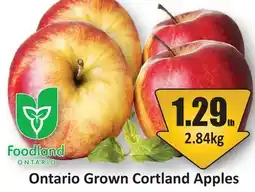 Starsky Ontario Grown Cortland Apples offer