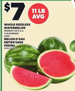 Independent City Market WHOLE SEEDLESS WATERMELON, 11 LB AVERAGE offer