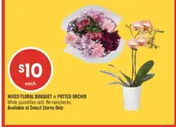 Shoppers Drug Mart MIXED FLORAL BOUQUET or POTTED ORCHID offer