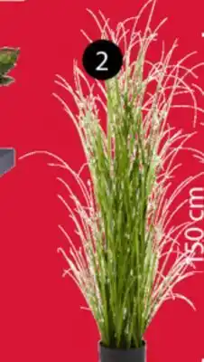 JYSK GRASUGGA 150 CM offer