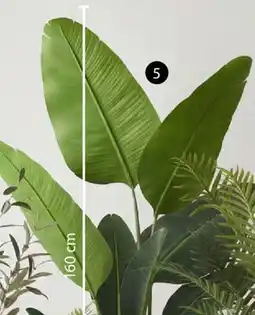 JYSK NALA Artificial potted plant offer