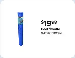Walmart Pool Noodle offer