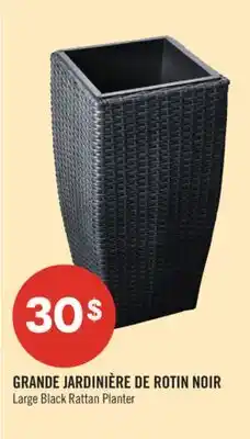 Pharmaprix Large Black Rattan Planter offer