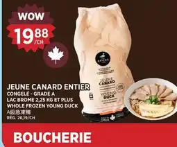 Kim Phat LAC BROME WHOLE FROZEN YOUNG DUCK offer