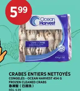 Kim Phat OCEAN HARVEST FROZEN CLEANED CRABS offer