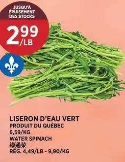 Kim Phat WATER SPINACH offer