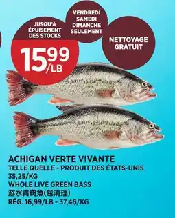 Kim Phat WHOLE LIVE GREEN BASS offer