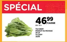 Kim Phat YU CHOY offer