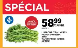 Kim Phat Water Spinach (Green) offer