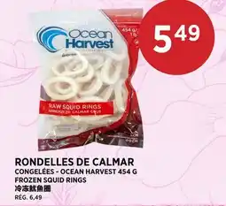 Kim Phat OCEAN HARVEST FROZEN SQUID RINGS offer