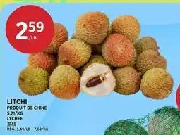 Kim Phat LYCHEE offer