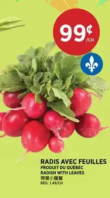 Kim Phat RADISH WITH LEAVES offer