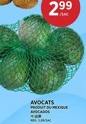 Kim Phat AVOCADOS offer