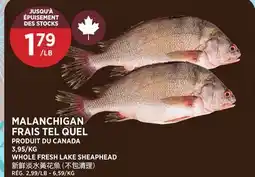 Kim Phat WHOLE FRESH LAKE SHEAPHEAD offer