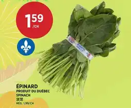 Kim Phat SPINACH offer