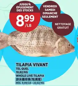 Kim Phat TEL QUEL WHOLE LIVE TILAPIA offer