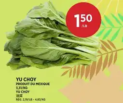 Kim Phat YU CHOY offer