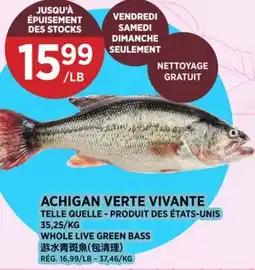 Kim Phat WHOLE LIVE GREEN BASS offer